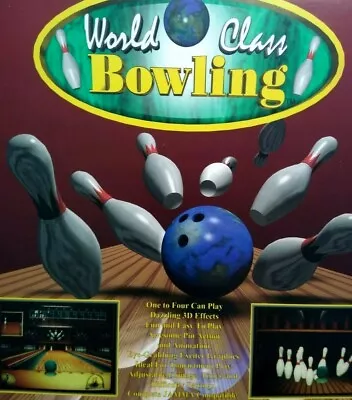 World Class Bowling Arcade Flyer Version 1 Original Video Game Vintage Retro Art • $17.85