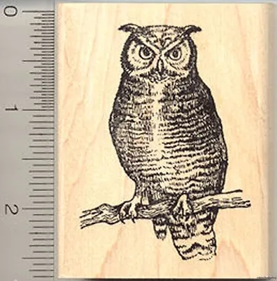 Great Horned Owl Rubber Stamp Coastal Predatory Bird J4002 WM • $18