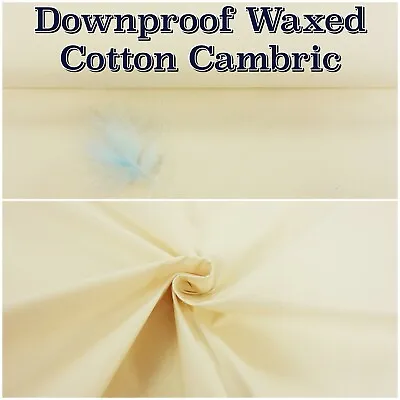 £16.99 • Buy Waxed Cotton CAMBRIC Feather Down Proof Pillow Cushion Craft Fabric Material 