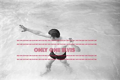 1956 ELVIS PRESLEY | Audubon Drive MEMPHIS Photo SHIRTLESS In POOL  014 • $3.88