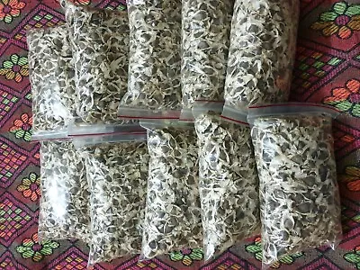 FarmCrane Moringa Oleifera Seeds Approved Seeds For Plantation & HealthCare • $55