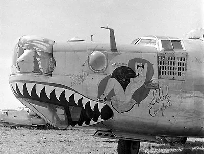 Nose Art Consolidated B-24 Liberator Solid Comfort 5 X 7  World War II Photo 417 • $6.18