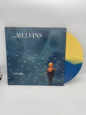 THE MELVINS A Senile Animal 4x LP Blue / Yellow Vinyl SUPER Rare Box Edition VG • $169.99