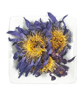 $13.89 • Buy Organic Egyptian Blue Lotus Whole Flowers 2022 (Nymphaea Caerulea) 10g