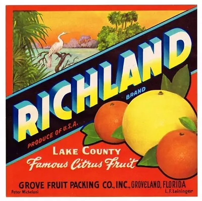 Groveland Florida Richland Orange Citrus Fruit Crate Label Vintage Art Print • $9.99