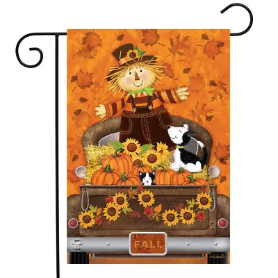 Fall Scarecrow Sunflower Cat Dog Pumpkin Pickup Mini Window Garden Yard Flag New • $8.97