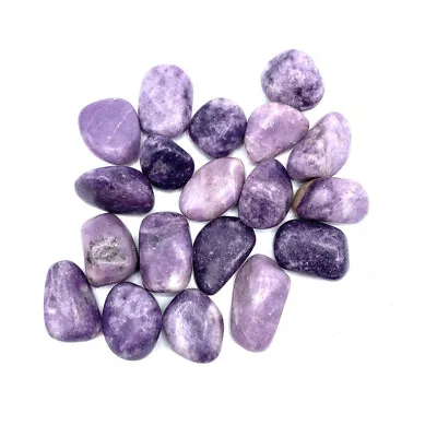 Lepidolite Tumbled Stones - 1 KG / 1 LB / 0.5 LB / 5 PCS / 1 PC • $1.31