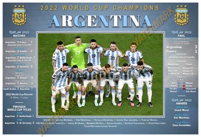 $18.95 • Buy MESSI WINS WORLD CUP GOLDEN BALL AWARD 19”x13” COMMEMORATIVE POSTER