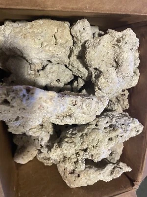 $90 • Buy Fiji Live Rock - 15 Pounds Saltwater Reef Aquarium 15# Coral Tank Liverock Fiji