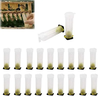 20PCS Beekeeping Rearing Cup Kit Queen Bee Cages Beekeeper Equipment Tool - • $12.49