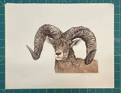 $165.40 • Buy Jack Willis  Bighorn  Sheep Signed & Numbered Original Art Etching 84/150