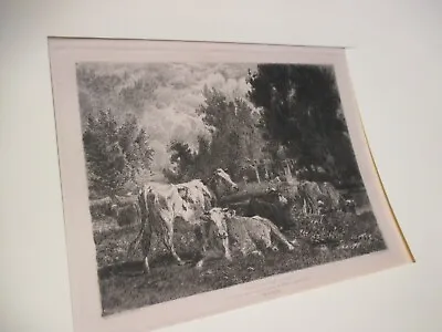 Peter C Moran Antique Etching - Landscape And Catlle After Van Marcke • $140