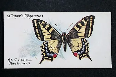 SWALLOWTAIL  Butterfly    Vintage 1930's Illustrated Insect Card  XC18 • $4.96