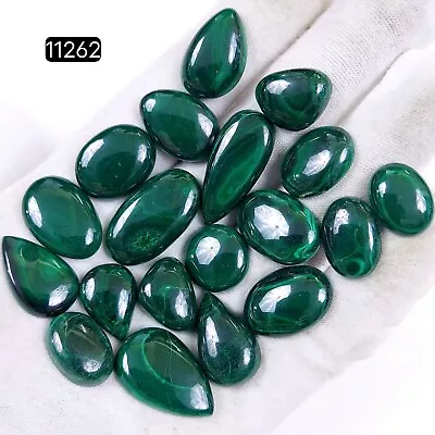 19Pc 325Ct  Malachite Back Unpolished Cabochon Gemstone Lot 28x12-16x14mm #11262 • $16.90