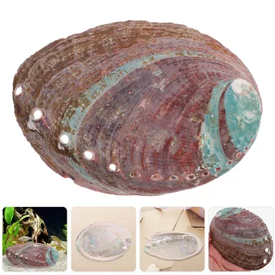 Abalone Shell Craft Rough Abalone Shell Adornment Aromatherapy Burning Container • $9.86
