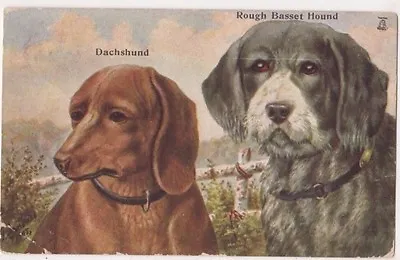 Dachshund & Rough Basset Hound Kennel Series Art Postcard B720 • £2