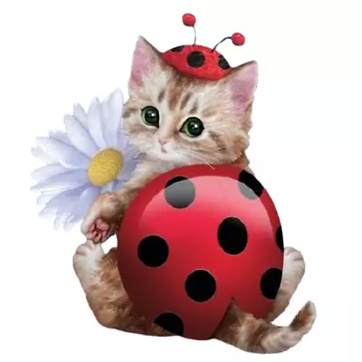 £30.90 • Buy Hamilton Collection Sweet Little Cuttlebug Cute As A Bug Cat Figurine 4 -Inches