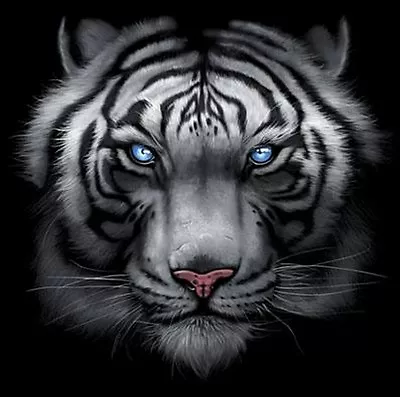 Majestic White Tiger T Shirt Piercing Blue Eyes Small - 5X • $22.99