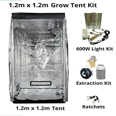 Grow Tent Kit 1.2M X 1.2M X 2.0M Grow Tent Lights & Extraction • £199.99