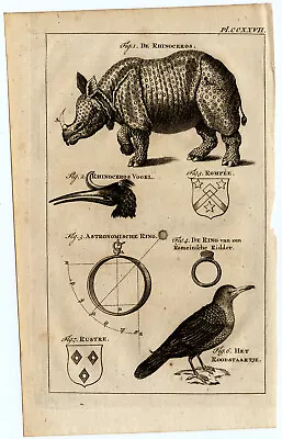 Antique Print-HERALDRY-RHINOCEROS-REDSTART-HORNBILL- ASTRONOMICAL RING-Buys-1770 • £95.40