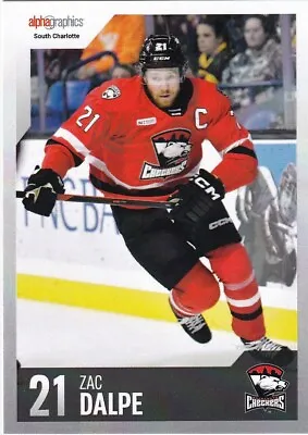 2023-24 Charlotte Checkers Zac Dalpe AHL Panthers Ohio State • $2