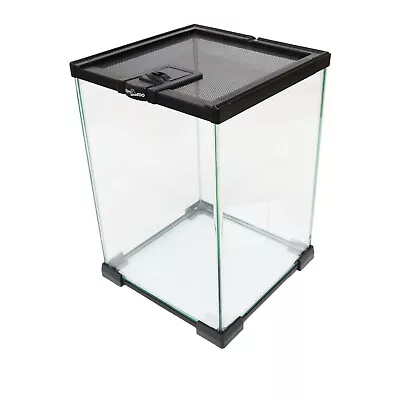 £5.99 • Buy Stackable Nano Glass Habitat Terrarium - 21x21x30cm - Optional Extras