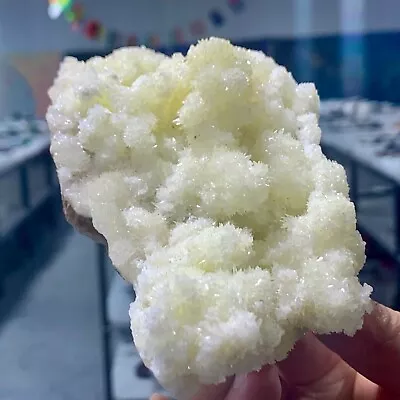 455G Museum Quality White Flowery Hydrozincite Crystal Cluster Mineral Specimen • $320