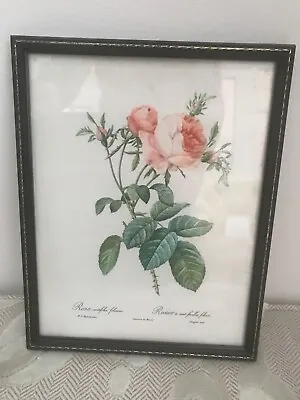 £13.99 • Buy Vintage Pink Roses From Pierre Joseph Redoute's  Les Roses  Framed Print