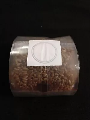 1 LB Rye Grain Mushroom Grow Bag With Injection Port.  Fully Sterilized. Organic • $12