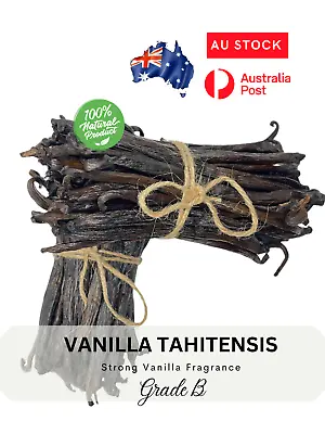 VANILLA BEANS GRADE B 13cm + GREAT FOR EXTRACT 250 Gr Free Shipping • $59.53