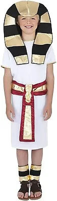 Boy's Egyptian Pharaoh Costume • £9.49