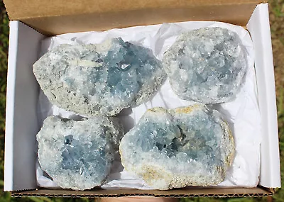 Bulk LARGE Natural Celestite Crystal Cluster Geode 2lb - 3lb (4-5 Piece Box Lot) • $29.95