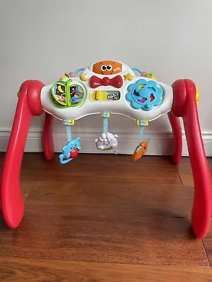 Grow-with-Me Melody Gym • £2