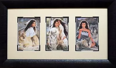 Maija Indian Summer Framed Trilogy  24 X 14 • $59.95