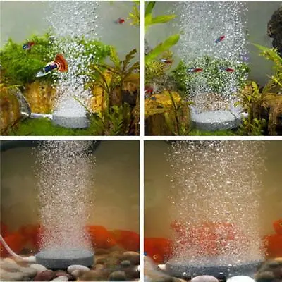 £3.58 • Buy Aquarium Fish Tank Pond Pump Oxygen Bubble Disk Air Pottery Stone Aerator LA
