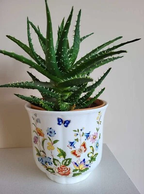 Aynsley Cottage Garden Butterfly Bone China Plant Pot • £12.99