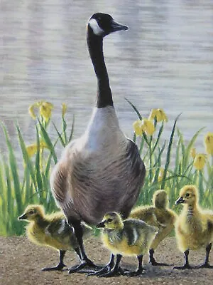 Matthew Hillier Mother Goose & Goslings Signed Limited Edition Art Print • $49.95