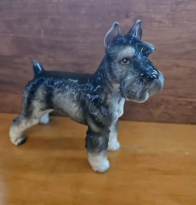 Vintage Shafford Schnauzer Terrier Dog Porcelain Figurine Made In Japan #160  8” • $29