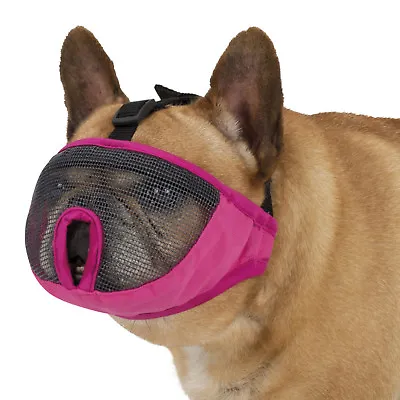 £8.79 • Buy Dog Muzzle For Short Faced Breeds Soft Mesh Pug, English / French Bulldog, Boxer