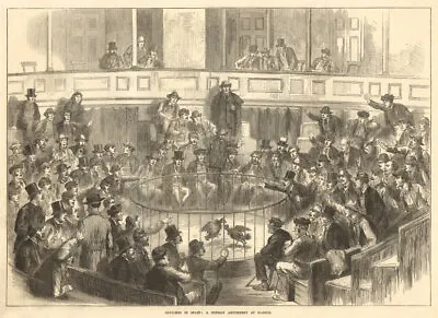 A Sunday Amusement At Madrid. Cockfighting Cockpit 1873 Antique ILN Full Page • £21.99