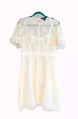 French Connection Cabrera Lined Fitted Lace Dress Size XL White • $28