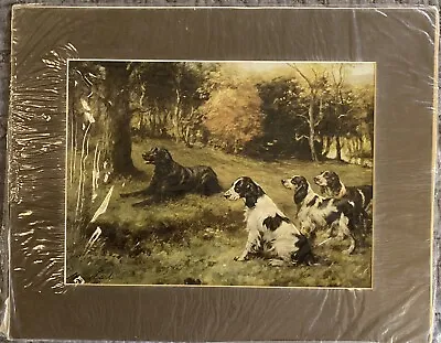 FLAT COATED RETRIEVER & SPANIELS DOG ART PRINT By Famous Artist MAUD EARL Matted • $28