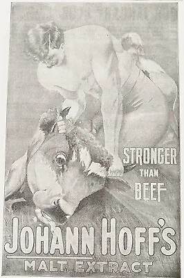 1898JOHANN HOFF'S Malt Extract Vtg Quackery Print Ad~Man Wrestles Beef Steer Cow • $24.95