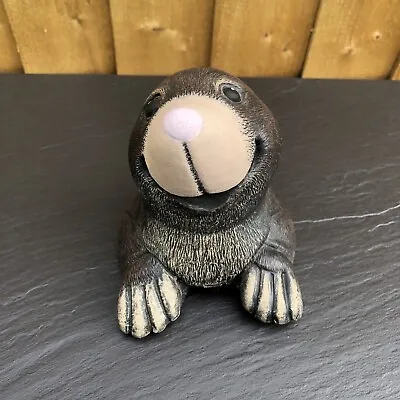 Pop Up Mole - Painted Stone Garden Ornament - Mole25 • £13