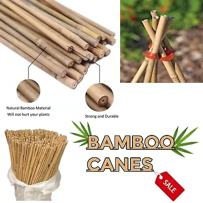 Heavy Duty Garden Bamboo Canes Strong Thick Quality Plant Support Cane Stake 6FT • £19.99
