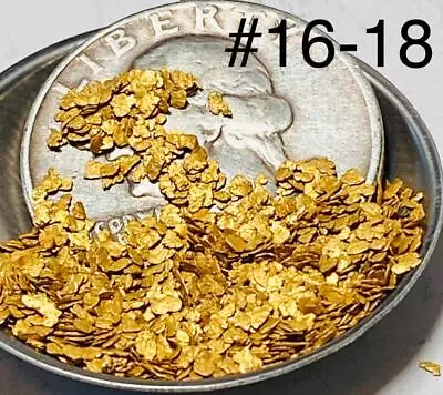 GOLD NUGGETS 3+ GRAMS Alaska Natural Placer Bottom Dollar Creek #16-#18 Mesh • $214.95