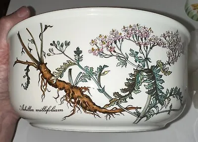 Villery & Boch Botanica China 7-3/4  Round Vegetable Bowl - Excellent! • $39.99