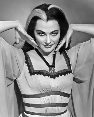 Film Actress YVONNE DE CARLO 8x10 Photo Lily Munster Print Hollywood Poster • £5.30