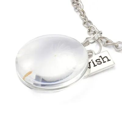 Dandelion Seed Necklace Glass Globe Vial Wishing Jewelry Make A Wish 24  • $8.39