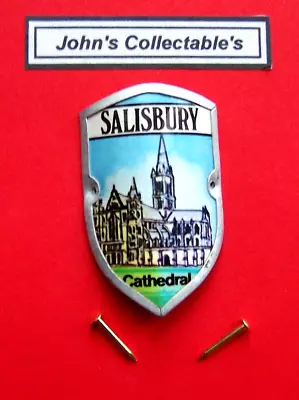 Salisbury Cathedral Walking / Hiking Stick Badge / Mount Lot Dh • £3.25